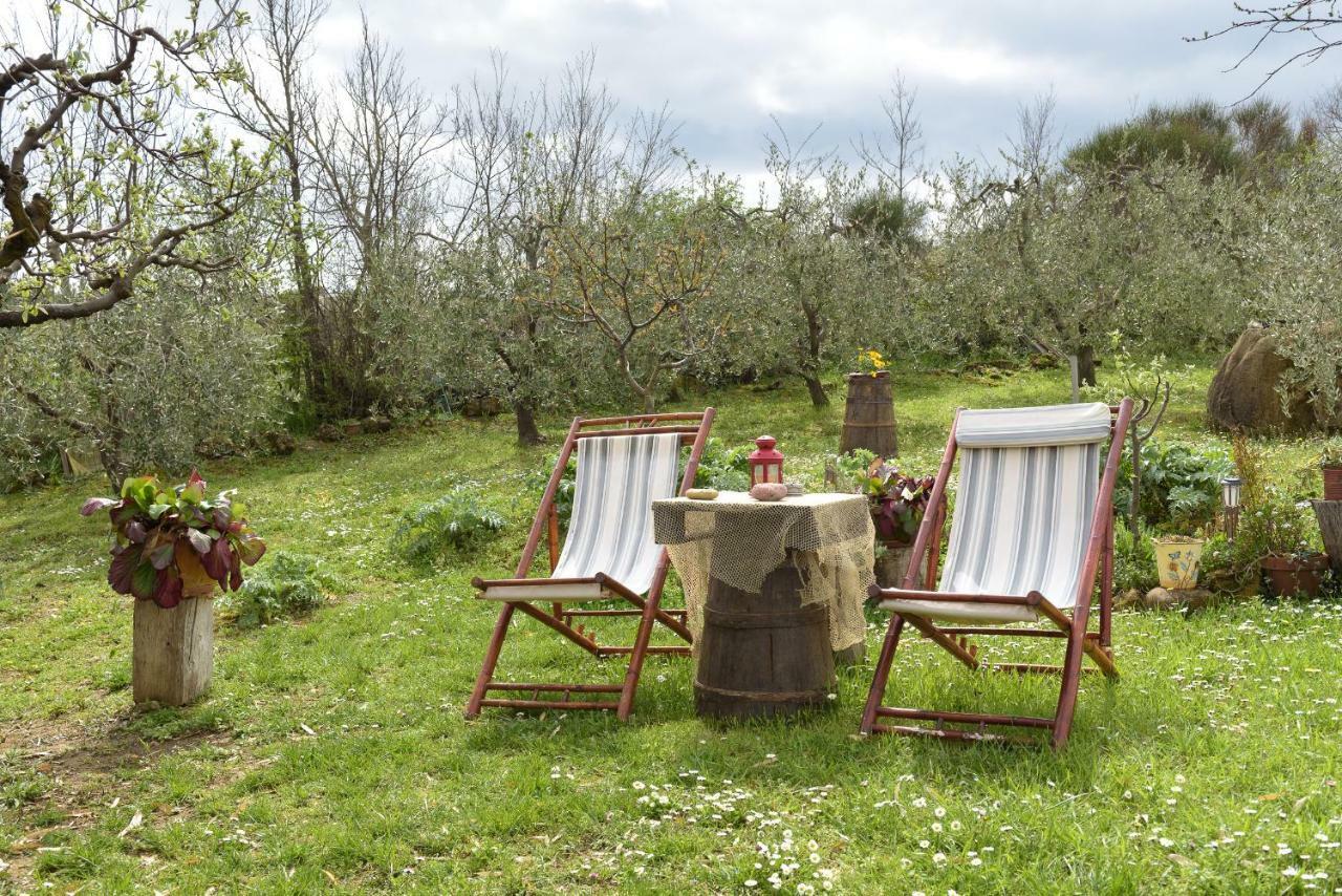 Villa Agriturismo Campo Alla Piana Monticchiello Exterior foto