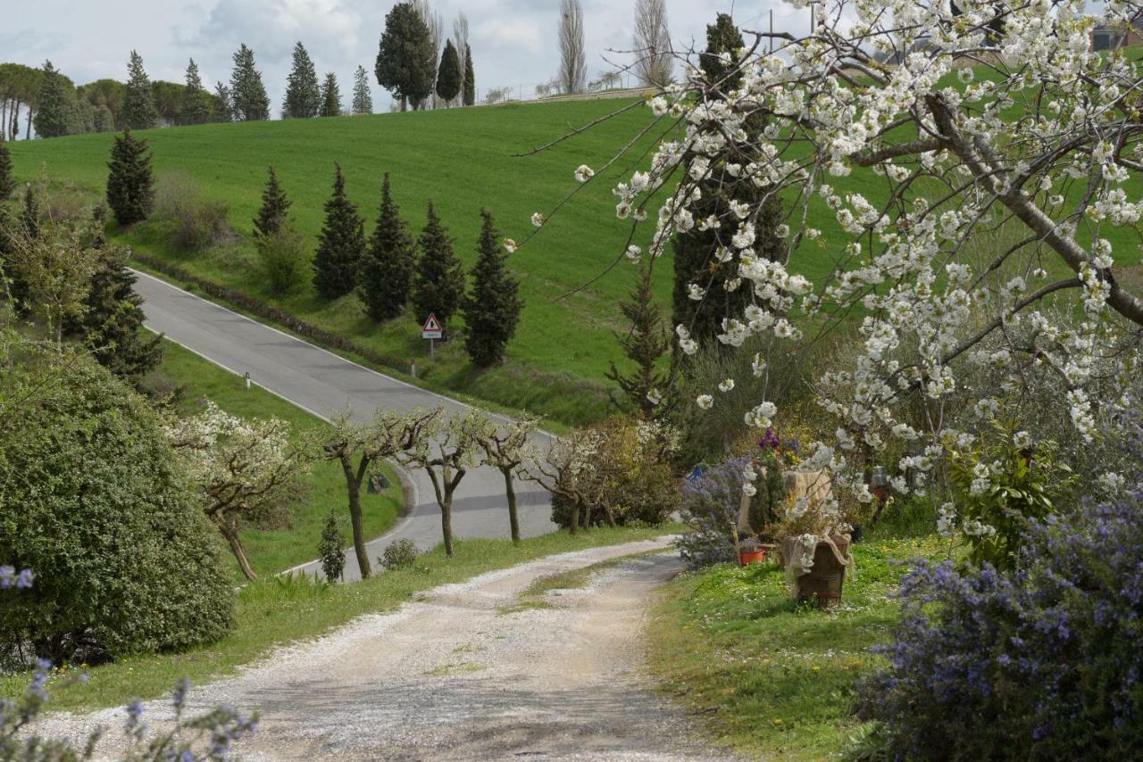 Villa Agriturismo Campo Alla Piana Monticchiello Exterior foto