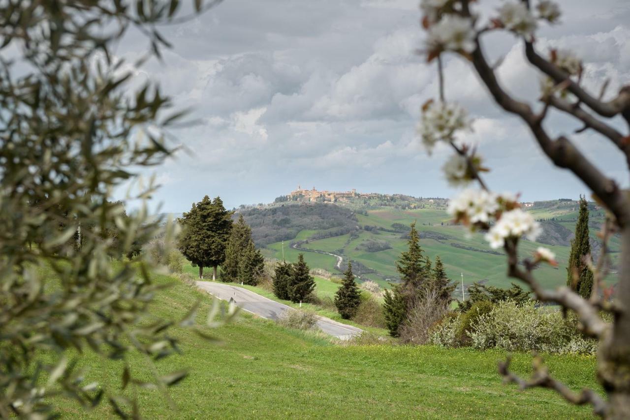 Villa Agriturismo Campo Alla Piana Monticchiello Exterior foto